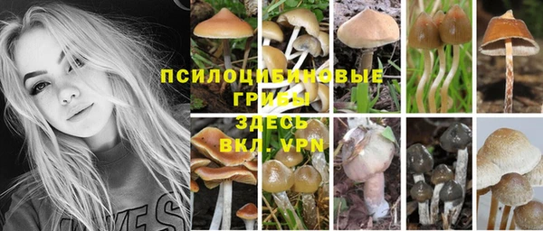 крисы Кукмор