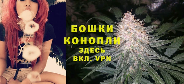 соль ск Краснослободск