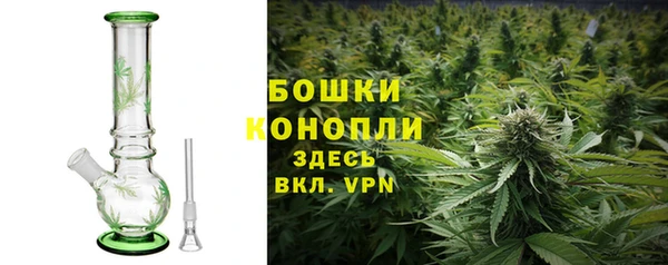 крисы Кукмор