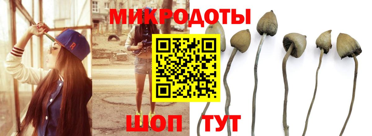 Псилоцибиновые грибы MAGIC MUSHROOMS Лангепас
