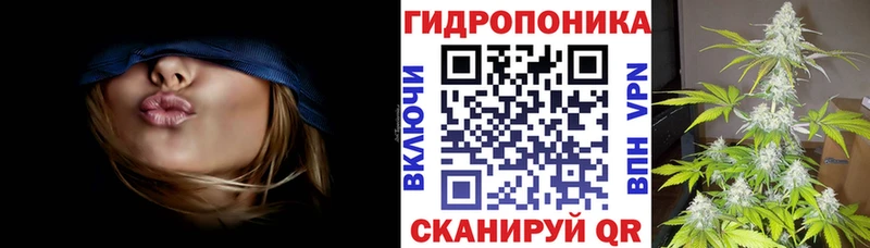 где можно купить   Лангепас  Каннабис ГИДРОПОН 